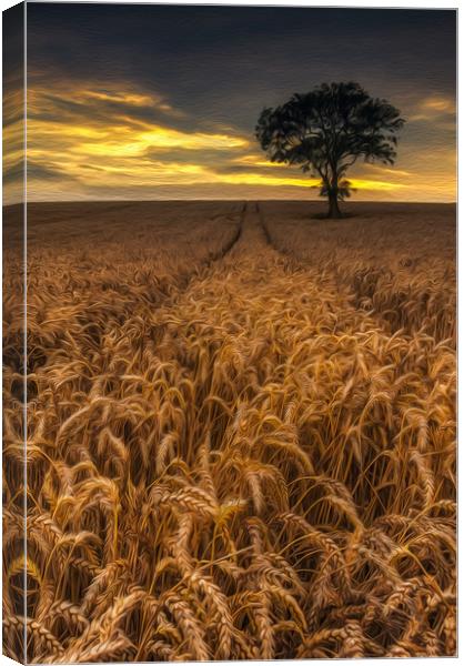 Harvest Time #2 Canvas Print by Paul Andrews