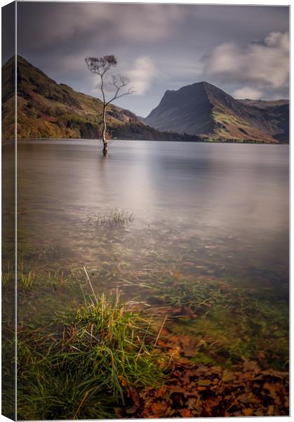 "Buttermere" Canvas Print by Paul Andrews