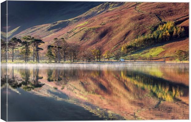 The Buttermere Pines Canvas Print by Paul Andrews