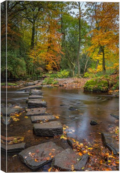 Rivelin Stepping Stones  Canvas Print by Paul Andrews