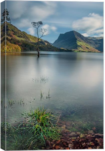 Buttermere Lone Tree Canvas Print by Paul Andrews