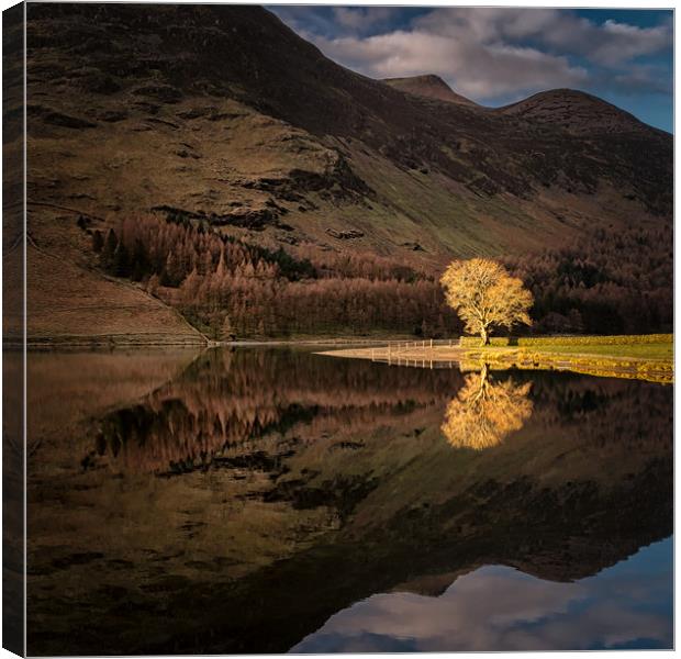 Buttermere Sentinel #3 Canvas Print by Paul Andrews