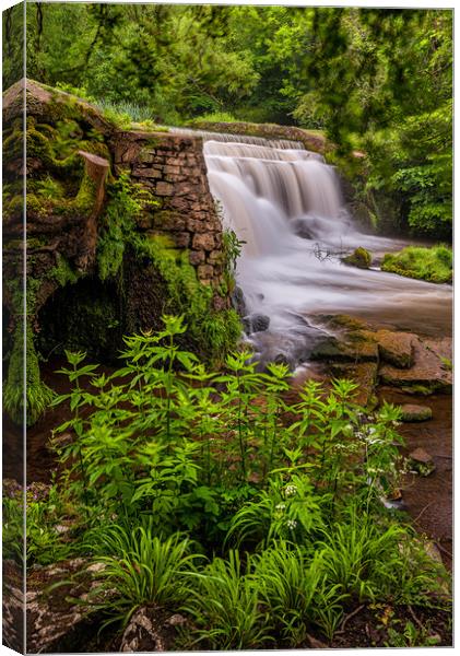 Monsal Dale Weir Canvas Print by Paul Andrews