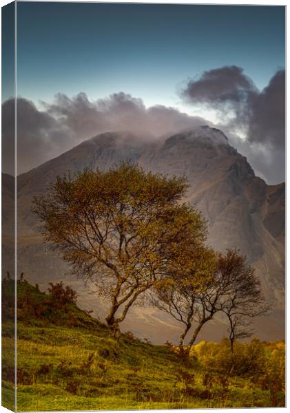 Blaven and Silver Birch Trees Canvas Print by Paul Andrews