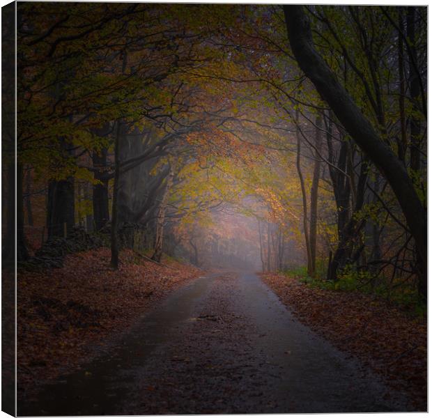 Unthank Lane Canvas Print by Paul Andrews