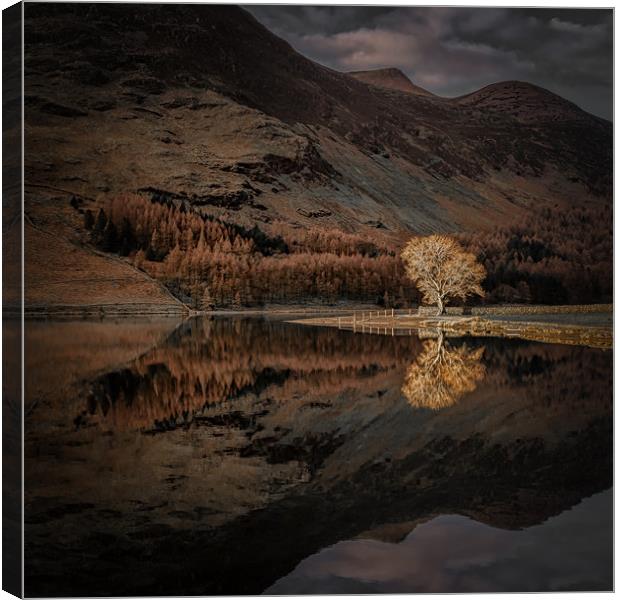 Buttermere Sentinel Canvas Print by Paul Andrews