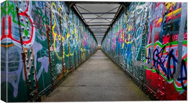 Graffiti Bridge Canvas Print by Paul Andrews
