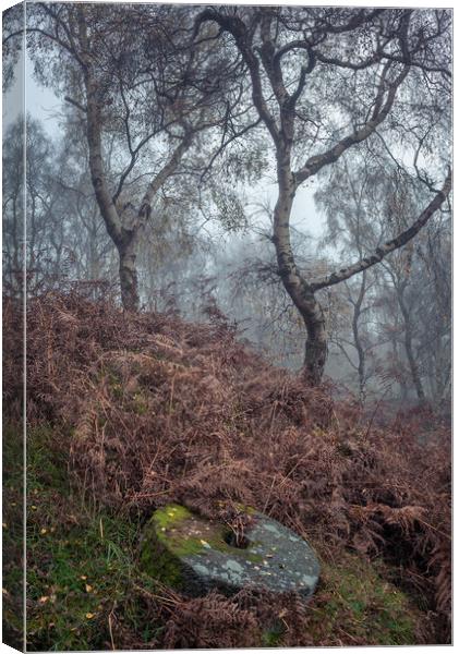 Oxhay Wood Millstone Canvas Print by Paul Andrews