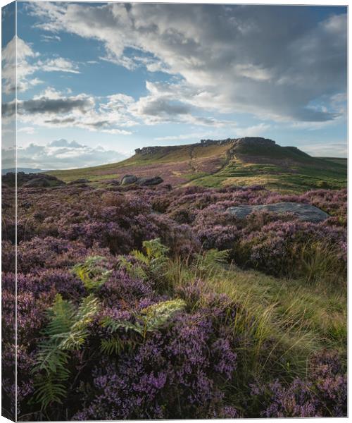 Higger Tor Heather Canvas Print by Paul Andrews