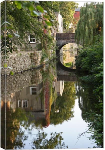 World reflected Canvas Print by Iain Leadley