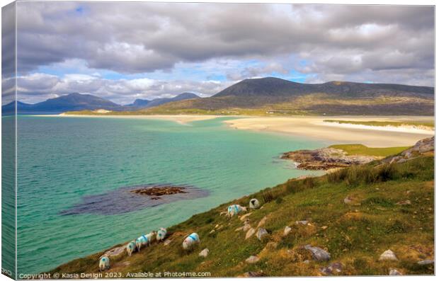 The Locals View of Luskentyre, Harris, Scotland Canvas Print by Kasia Design