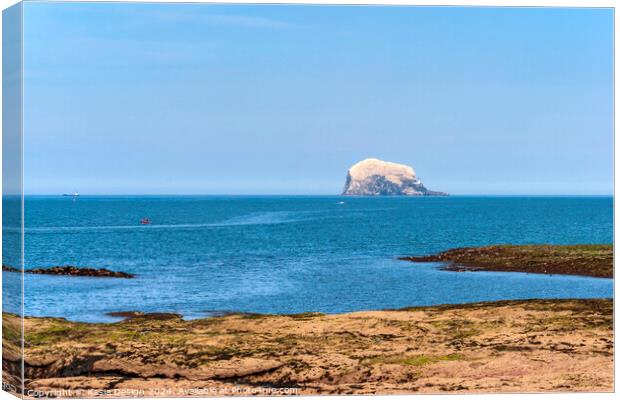 The Bass Rock in all its Magnificence Canvas Print by Kasia Design