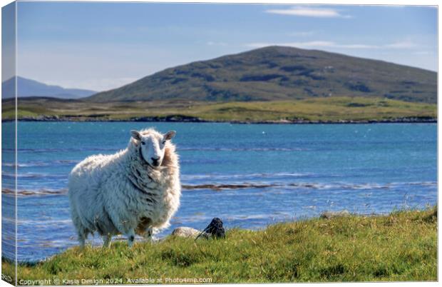 A Proud Sheep in The Outer Hebrides Canvas Print by Kasia Design
