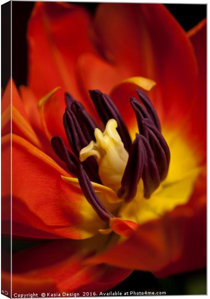 I'm on Fire - Tulip Canvas Print by Kasia Design