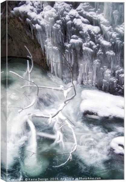 Nature's Frozen Work of Art Canvas Print by Kasia Design