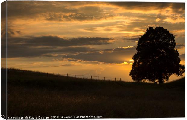 Lime Tree at Sunset Canvas Print by Kasia Design