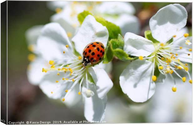 Ladybird Heaven Canvas Print by Kasia Design