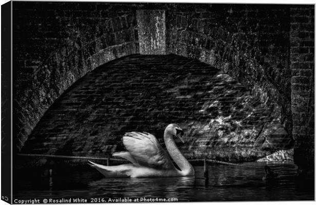 Swan Bridge Canvas Print by Rosalind White