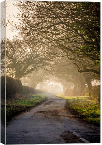 The Road Less Traveled (Portrait Version) Canvas Print by Jonathan Grady