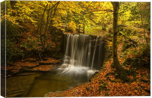 Plas Power Waterfall Canvas Print by Clive Ashton