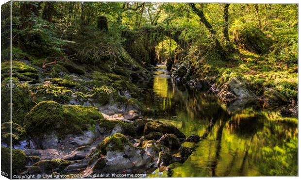 Timeless Canvas Print by Clive Ashton