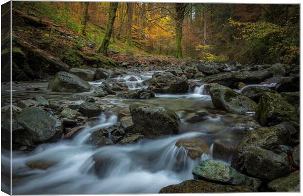 Autumn in Coed Y Brenin Canvas Print by Clive Ashton