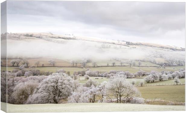 Mist and Frost Canvas Print by Clive Ashton