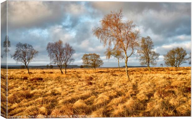 Leash Fen at dawn Canvas Print by Chris Drabble