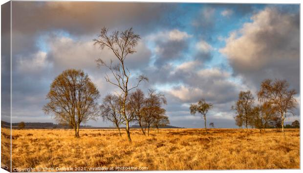 Leash Fen at sunrise Canvas Print by Chris Drabble