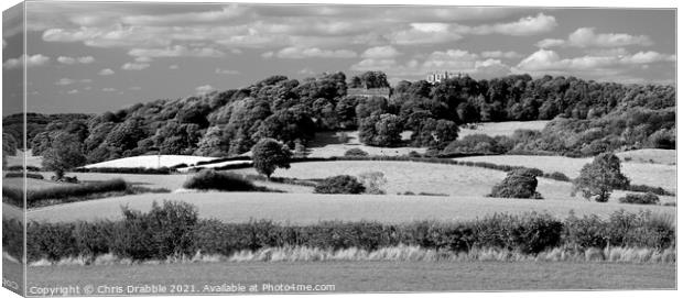 Derbyshire landscape in mono Canvas Print by Chris Drabble