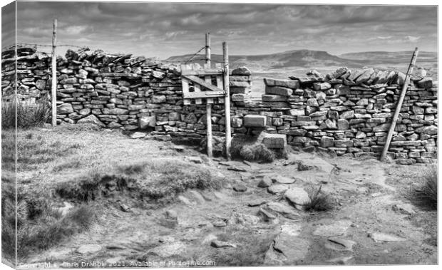 Approaching Penyghent Canvas Print by Chris Drabble