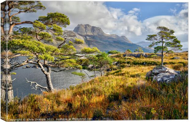 Slioch from the Loch Maree  Canvas Print by Chris Drabble