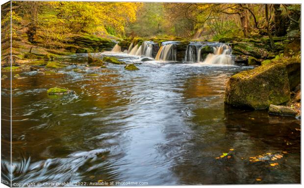Yorkshire Bridge Waterfall in Autumn Canvas Print by Chris Drabble