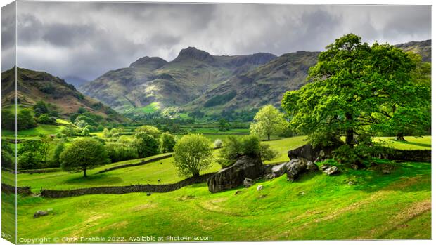 Light on the Langdale Pikes Canvas Print by Chris Drabble
