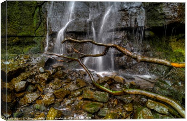Little Waterfall Swallet Canvas Print by Chris Drabble