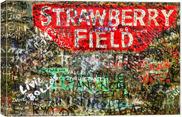 Strawberry Field Canvas Print by Chris Drabble