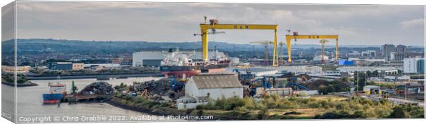 Samson and Goliath in evening light Canvas Print by Chris Drabble