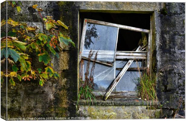 Window and stone Canvas Print by Chris Drabble