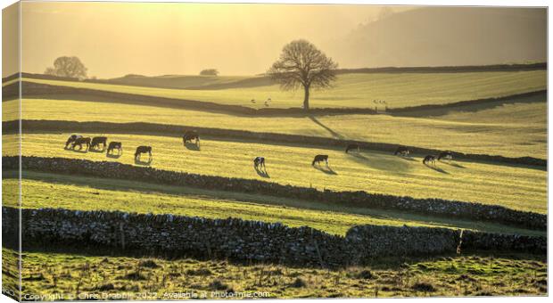 Emerald fields at Wetton  (1) Canvas Print by Chris Drabble