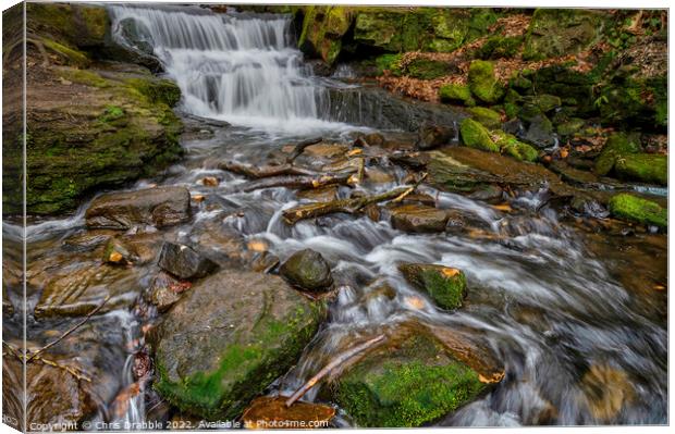 Lumsdale Waterfall (1) Canvas Print by Chris Drabble