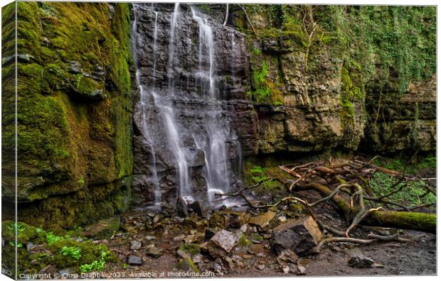 Waterfall Swallet (2) Canvas Print by Chris Drabble