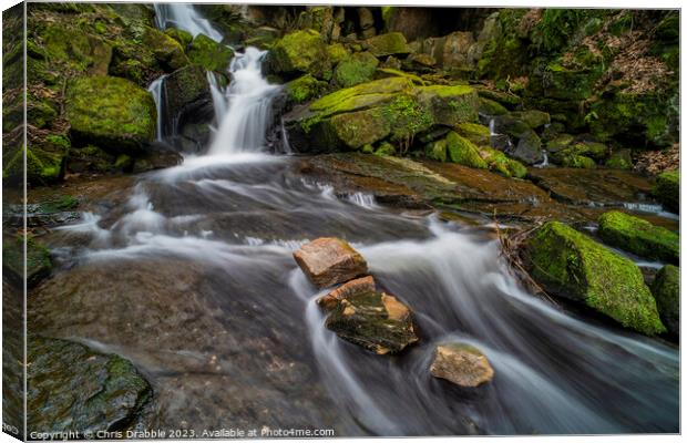 Lumsdale Waterfall (2) Canvas Print by Chris Drabble