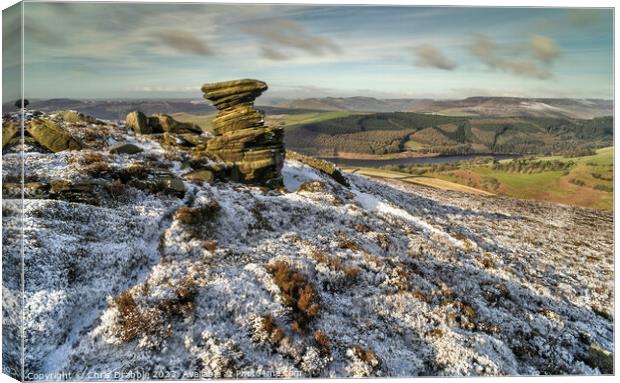 The Salt Cellar in Winter Canvas Print by Chris Drabble