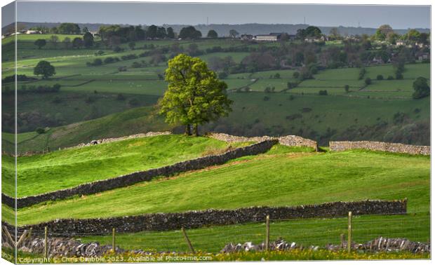 Wetton fields in sunlight Canvas Print by Chris Drabble