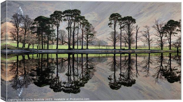 The Buttermere sentinels Canvas Print by Chris Drabble