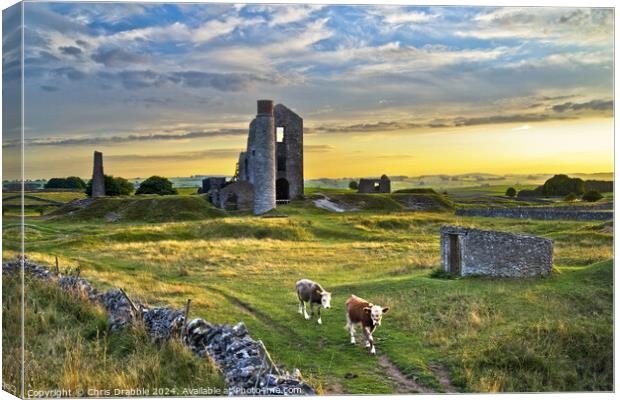 The Magpie Mine at sunset Canvas Print by Chris Drabble