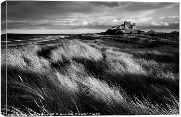 Bamburgh Castle (in Mono) Northumberland, England Canvas Print by Chris Drabble