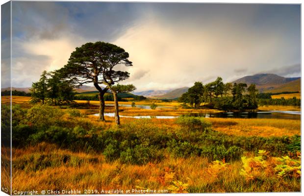 Early light at Loch Tulla, Bridge of Orchy Canvas Print by Chris Drabble