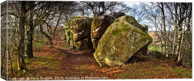 Rowtor Rocks, Birchover, The Peak District.  Canvas Print by Chris Drabble
