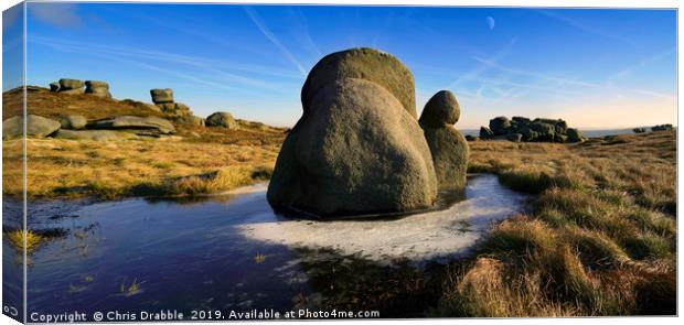 The Snail Stone, Kinder Scout Canvas Print by Chris Drabble